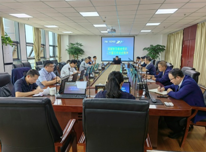 ���Ź�˾��ί����ѧϰ������ר��ѧϰ ���Ķ�ʮ������ȫ�ᾫ��