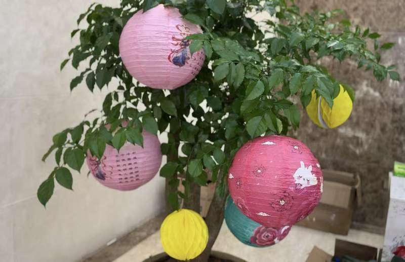 �������ɹ����� ��������ӭ����